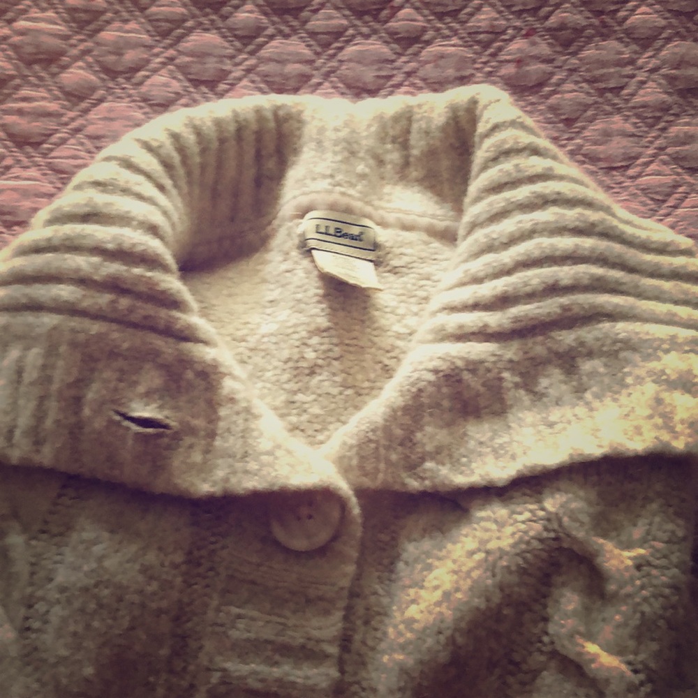 LL Bean women’s wool blend button sweater large